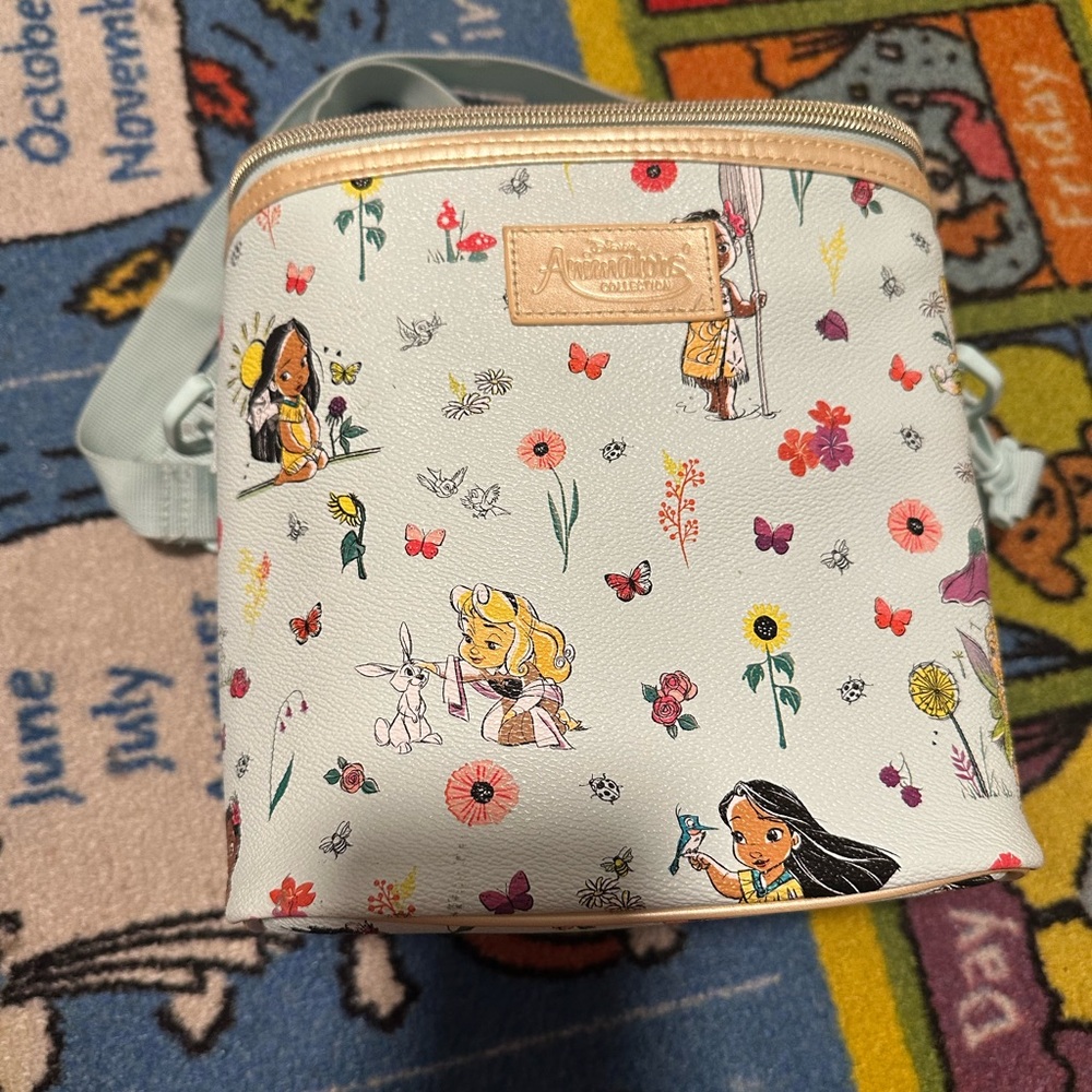 Disney princess lunch box